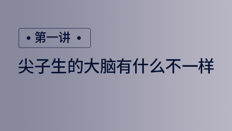 尖子生的大脑有什么不一样